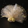 25 Tulles Arabesques Or/Argent 25 Tulles Arabesques Or/Argent
