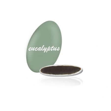 Dragées Chocolat Séduction de France, Eucalyptus 250g, Maison Pécou Dragées Chocolat Séduction de France, Eucalyptus 250g, Maison Pécou