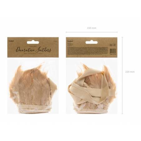 Guirlande de plumes beige rose longueur 1m 