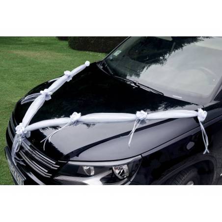 Guirlandes en organza blanches 18 m 