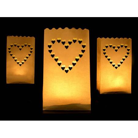 Lanternes sacs à bougies 15 x 9 x 26 cm 
