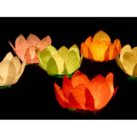 Lanternes flottantes mélange 29cm 