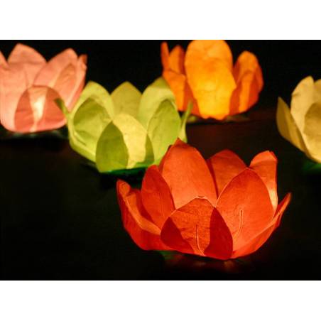 Lanternes flottantes mélange 29cm 