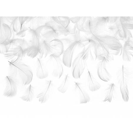 Plumes d'ornement blanches 3g 