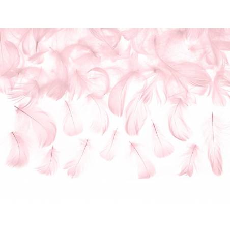 Plumes d'ornement rose clair 3g 