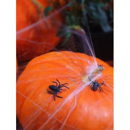 Araignées en plastique noir 