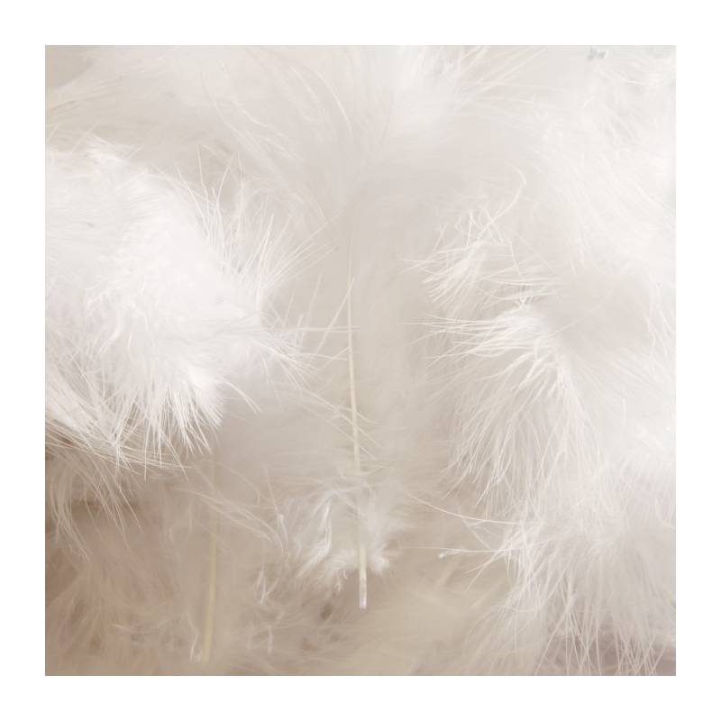 Plumes de dinde - Couleur blanche Plumes de dinde - Couleur blanche