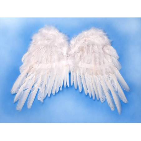 Ailes d'ange blanches 53 x 37cm 